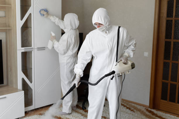 24/7 Emergency Odor Removal experts in Deerfield, IL